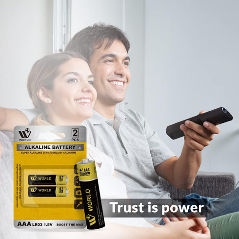 Alkaline AAA Battery Cells - 2 Pcs | WBM WORLD